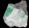 Beryl (Var: Emerald) Crystal in Quartz & Biotite - Bahia, Brazil #44111-1